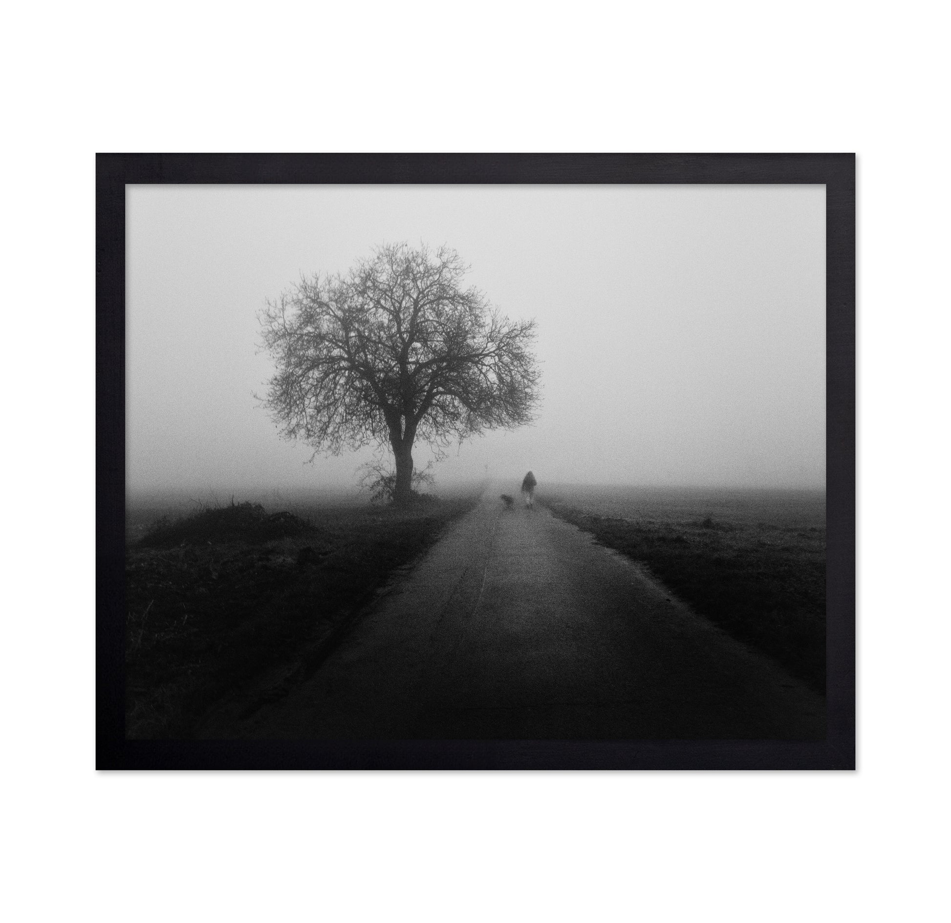 Lonley Walk