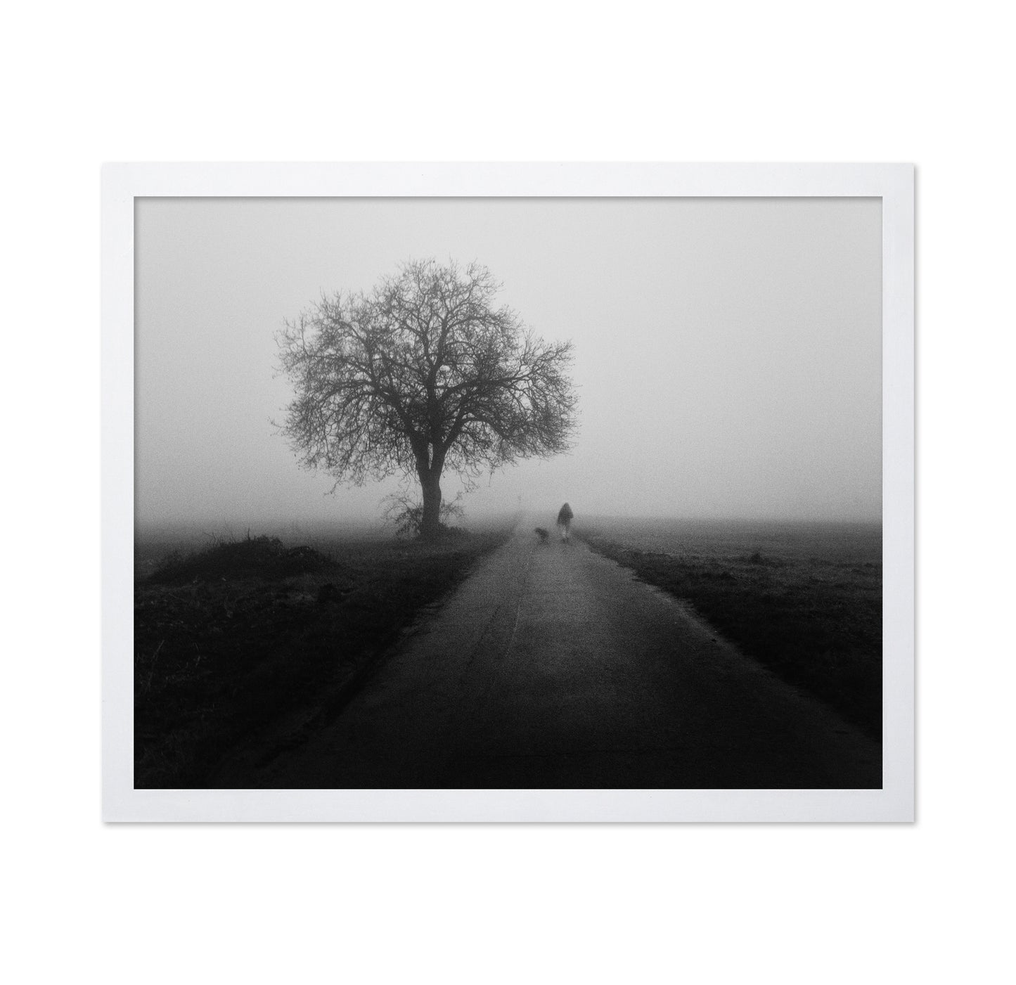 Lonley Walk