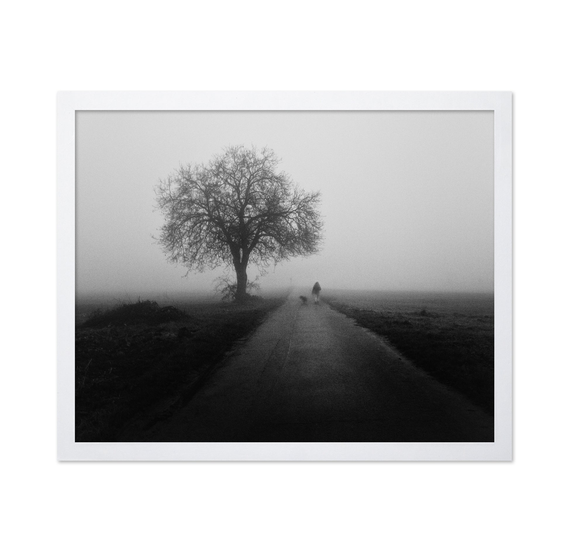 Lonley Walk