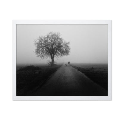 Lonley Walk