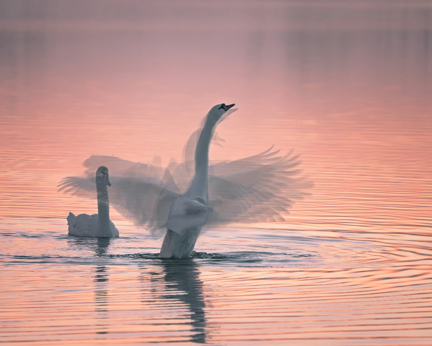 Dancing for You