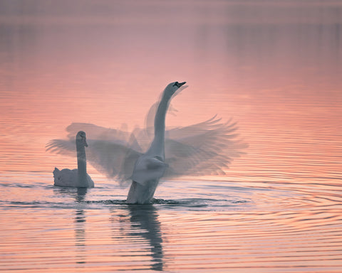 Dancing for You