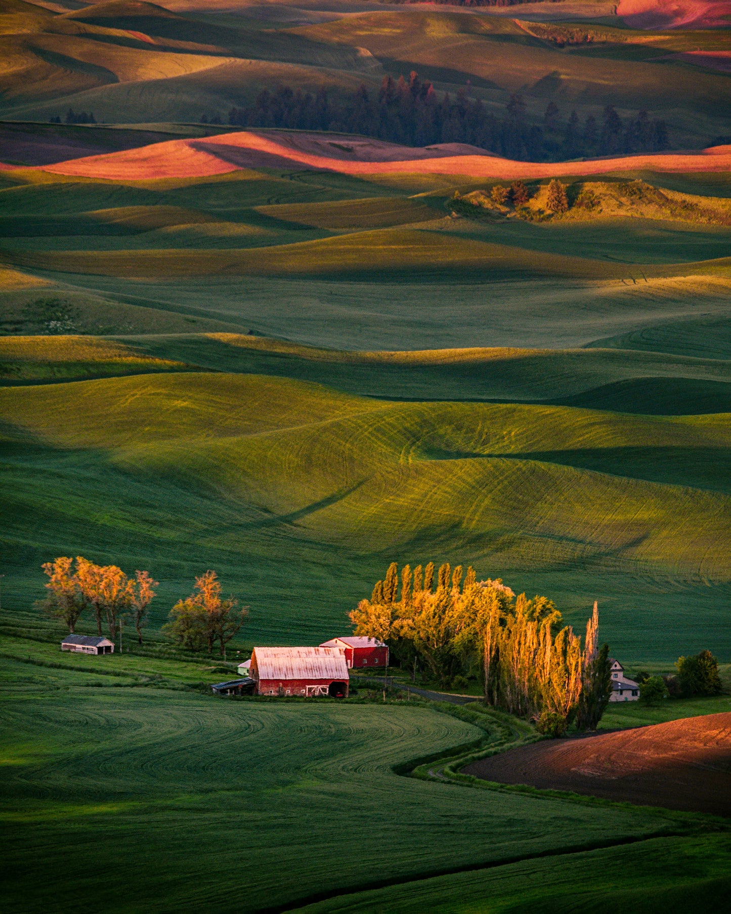 The Red Barn