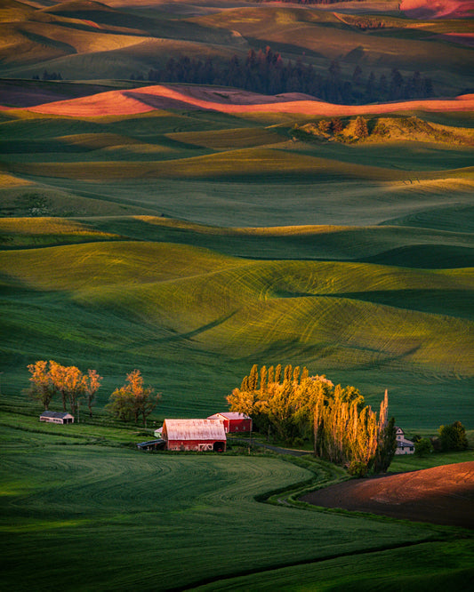 The Red Barn