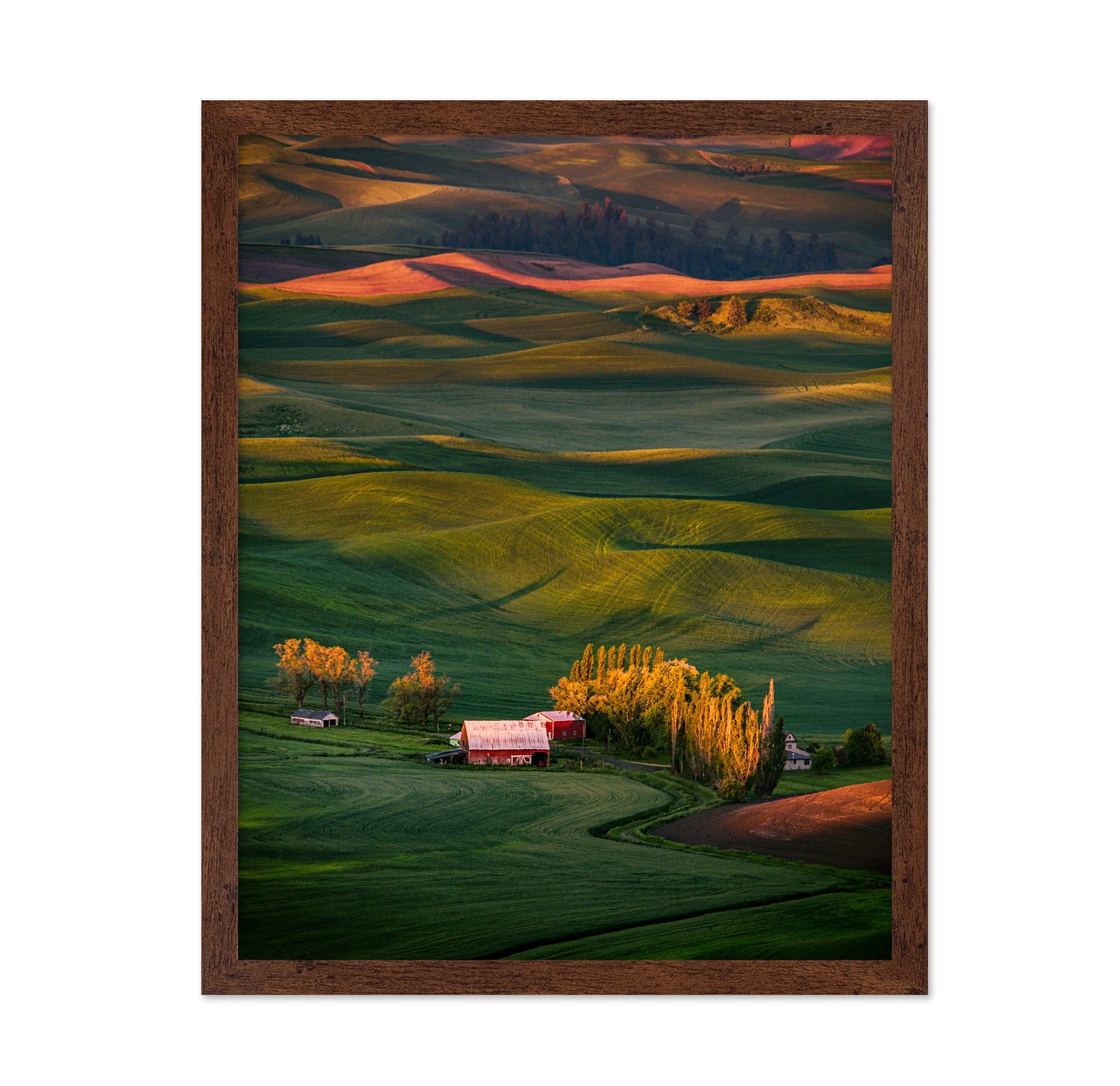 The Red Barn