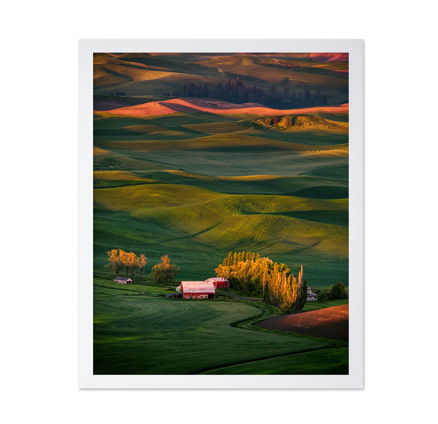The Red Barn
