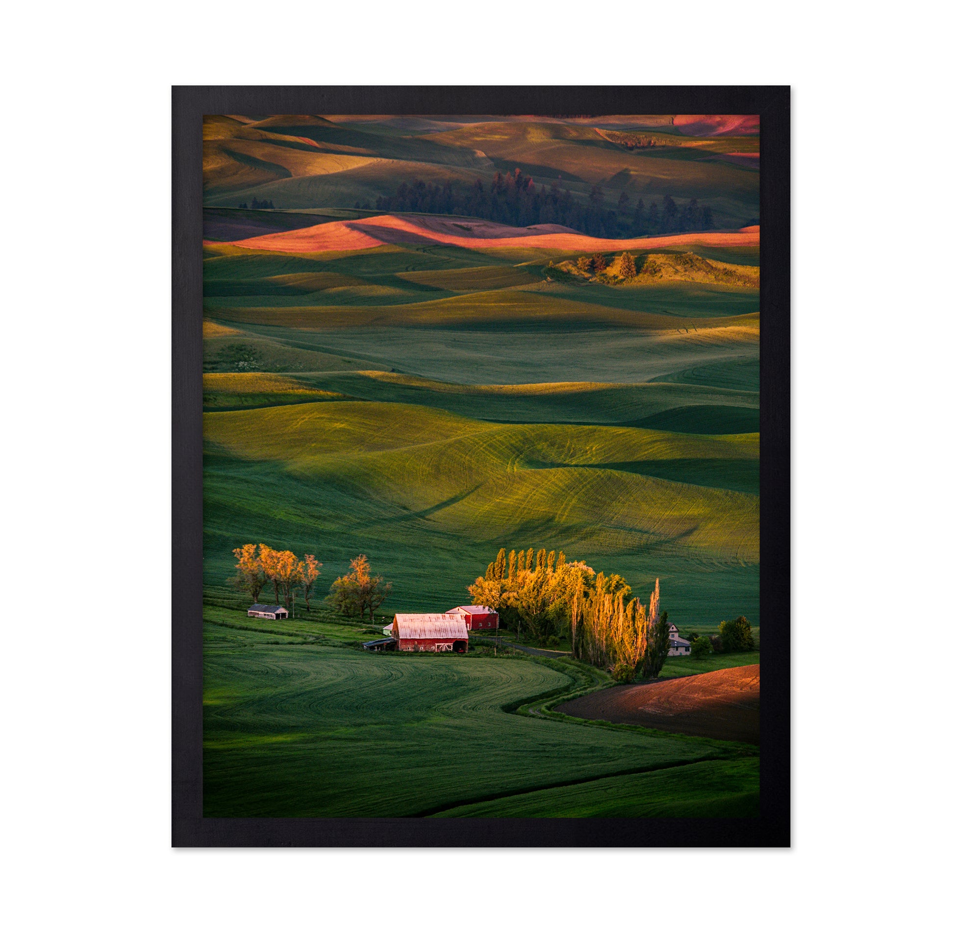 The Red Barn