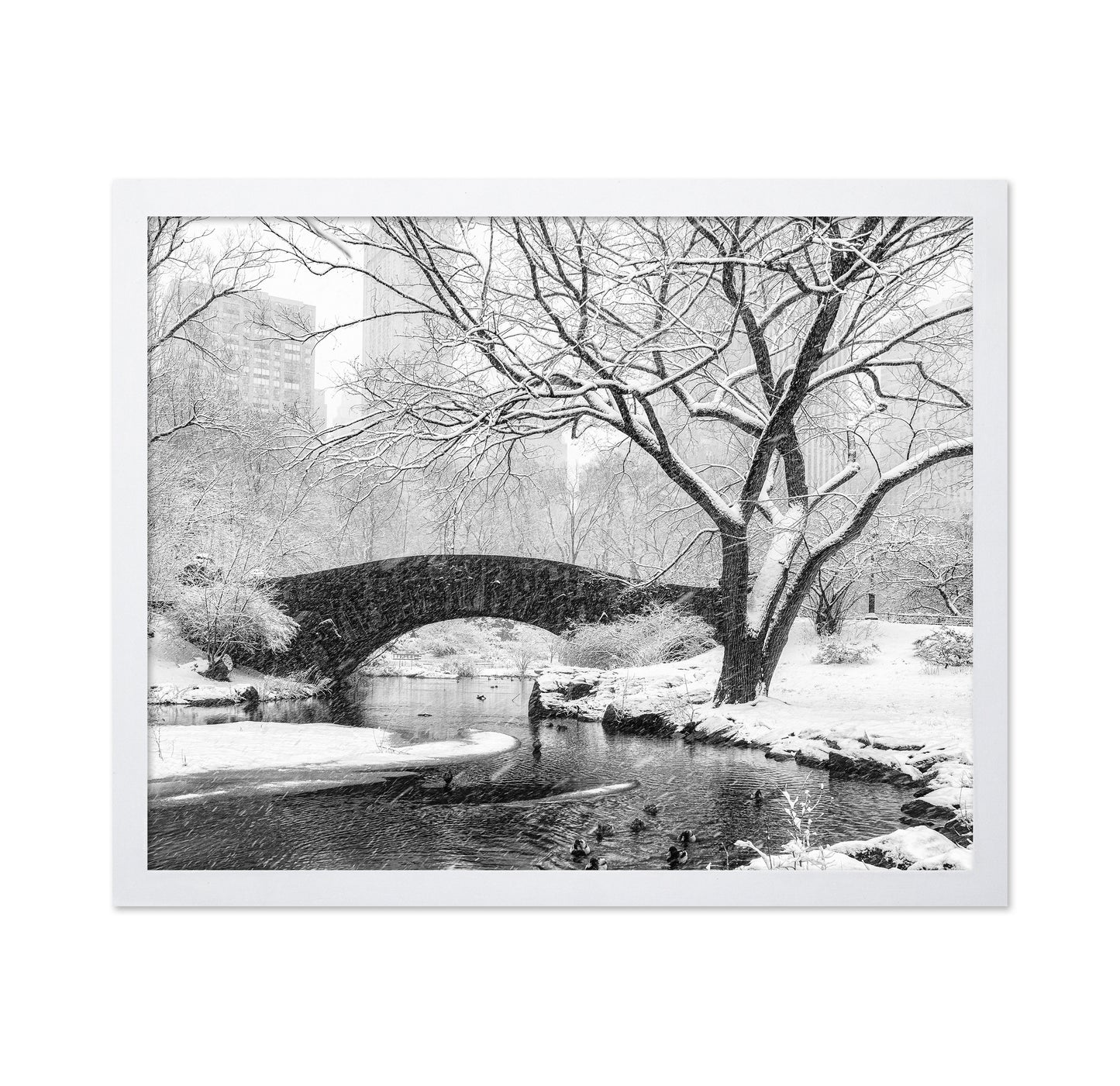 Central Park Snow