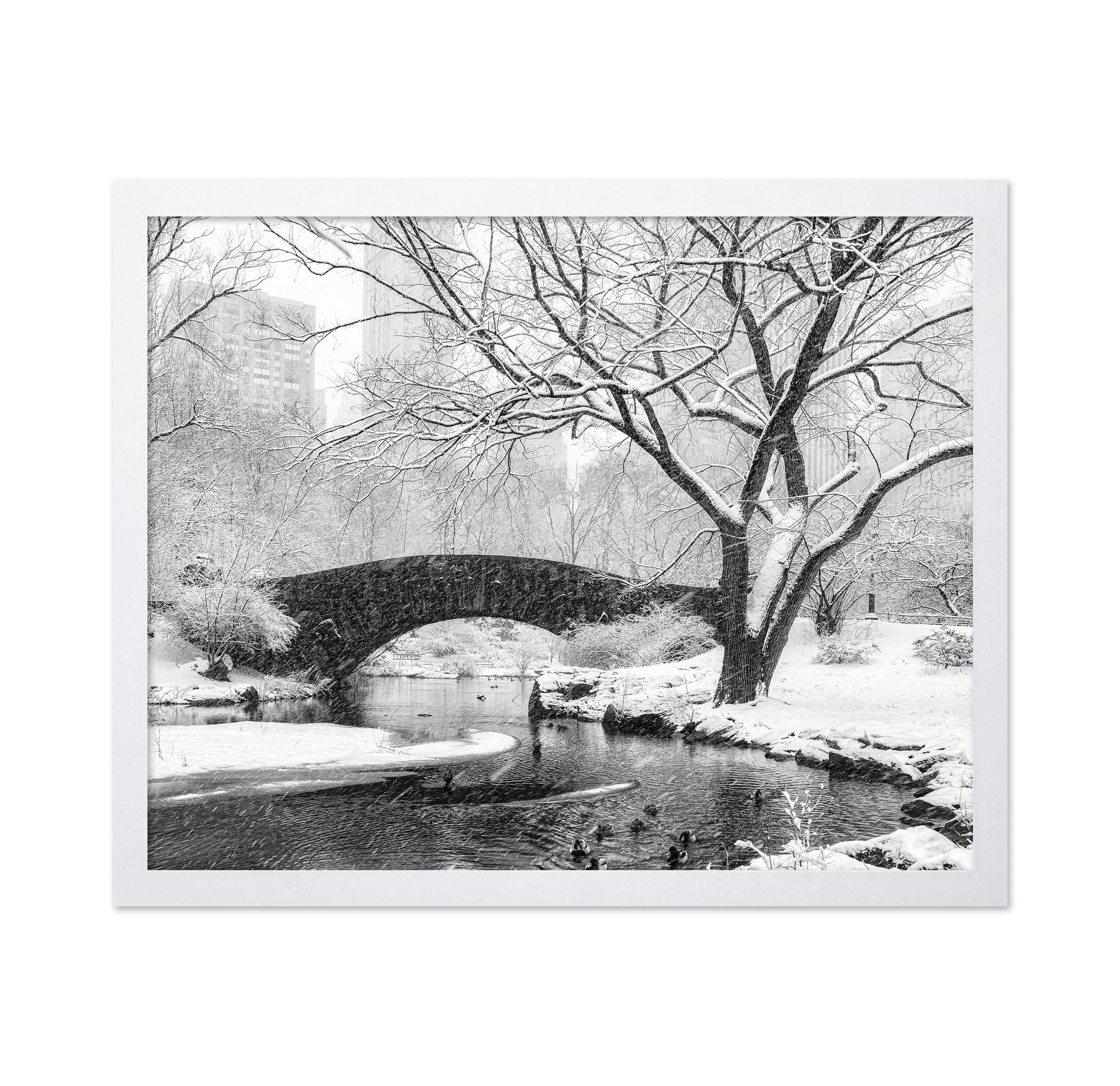 Central Park Snow