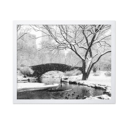 Central Park Snow