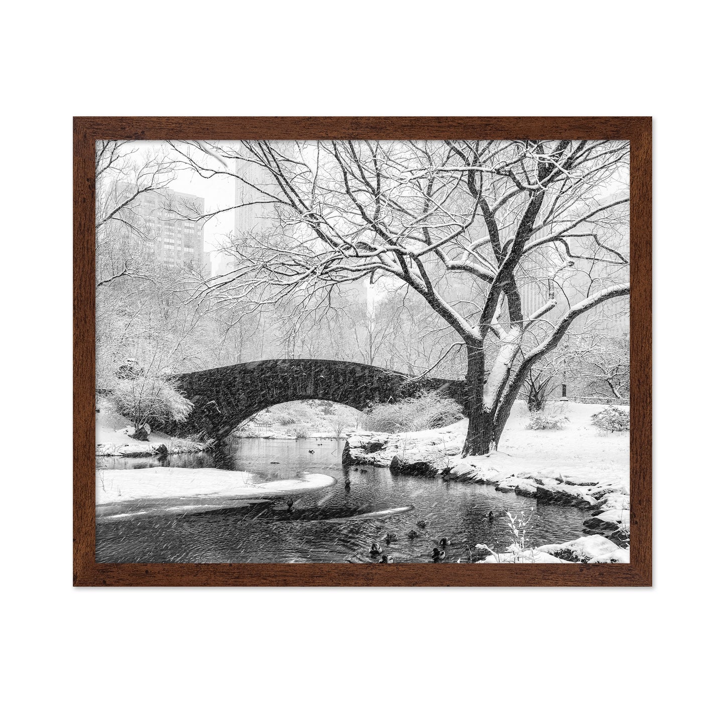 Central Park Snow