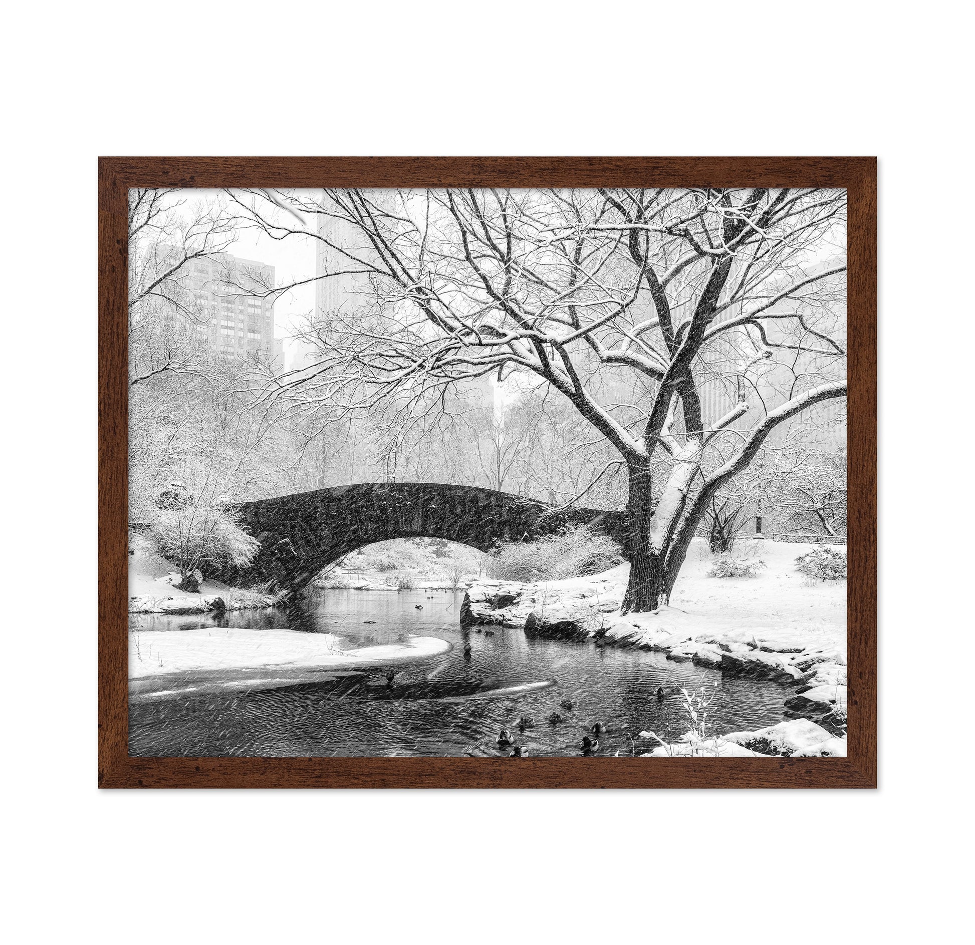 Central Park Snow