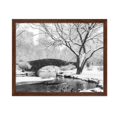 Central Park Snow