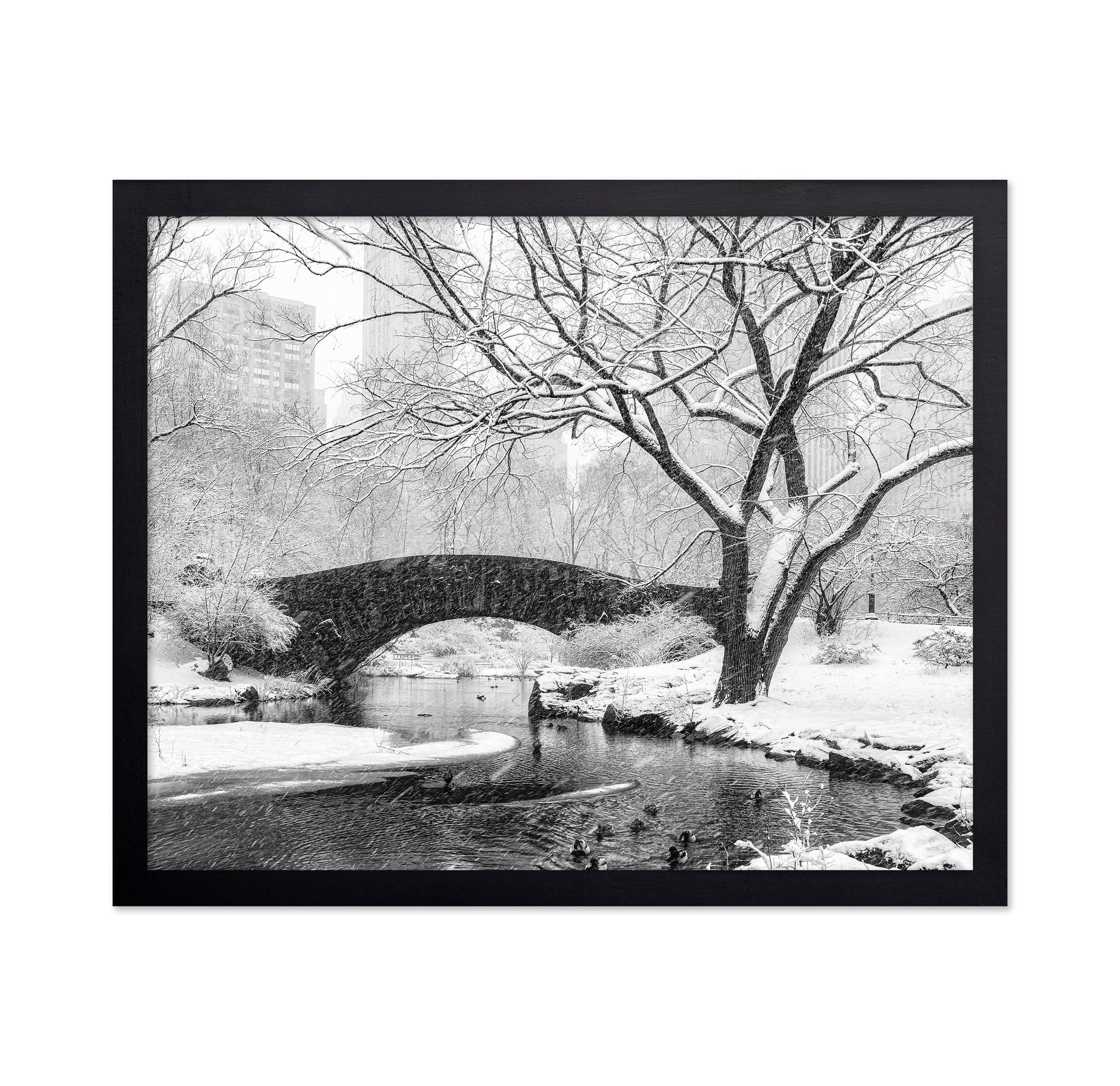 Central Park Snow
