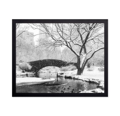 Central Park Snow