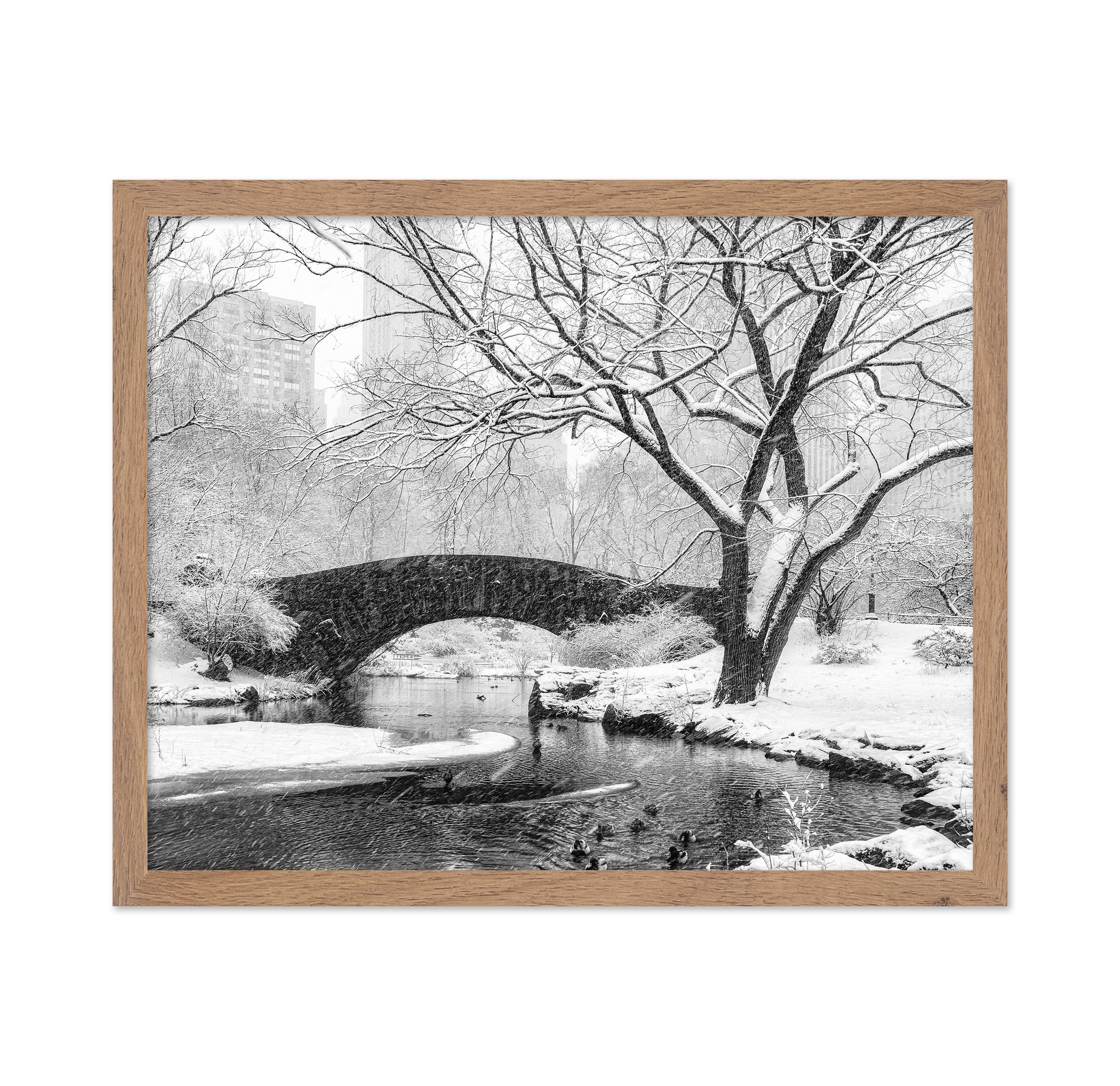 Central Park Snow