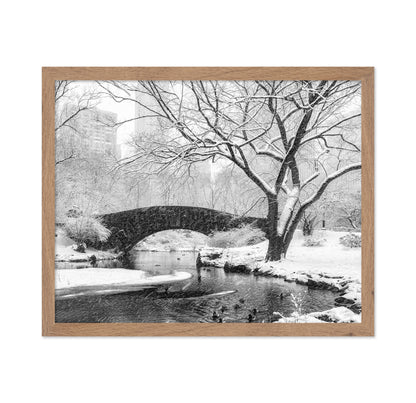 Central Park Snow
