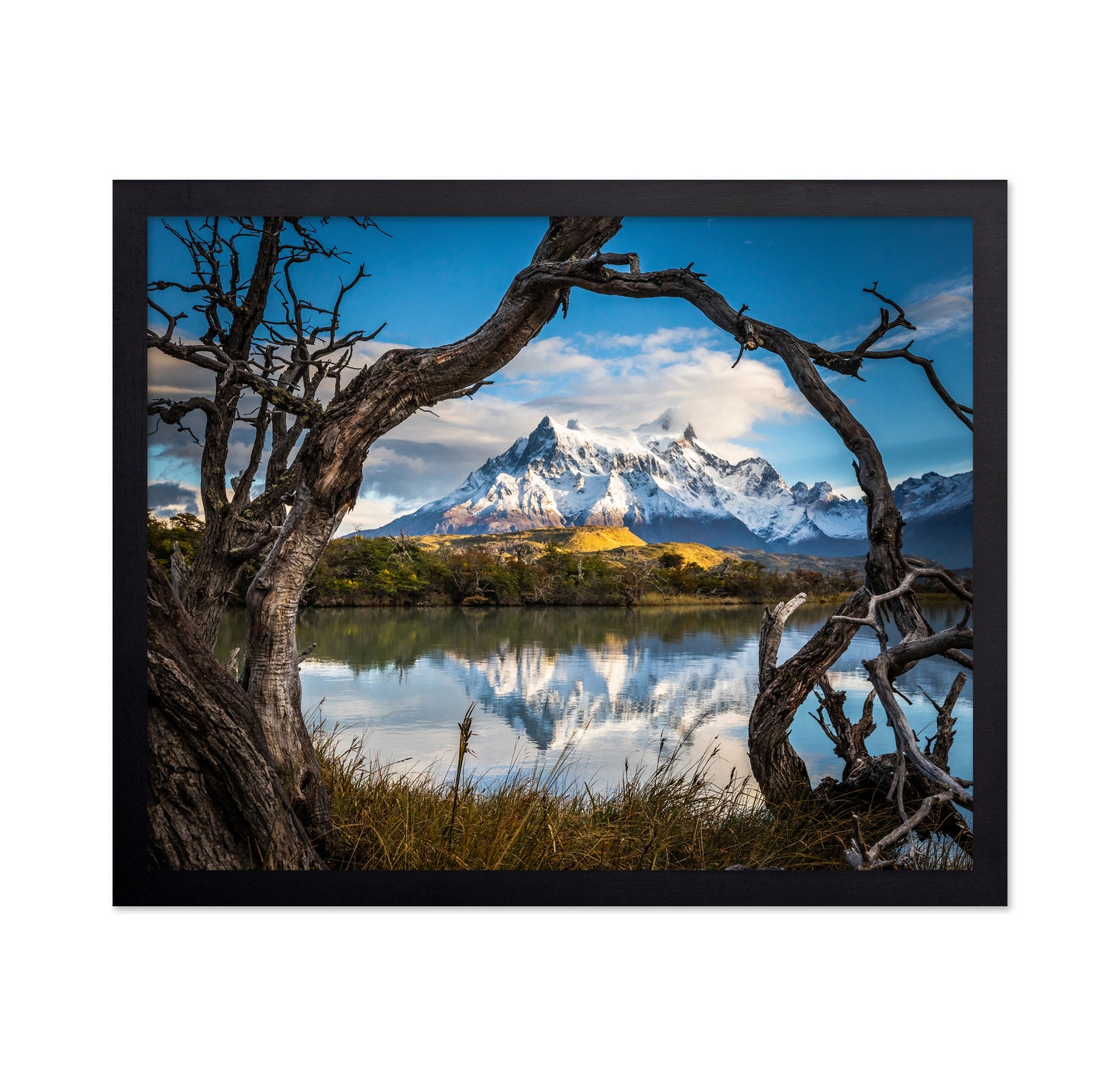 Patagonia