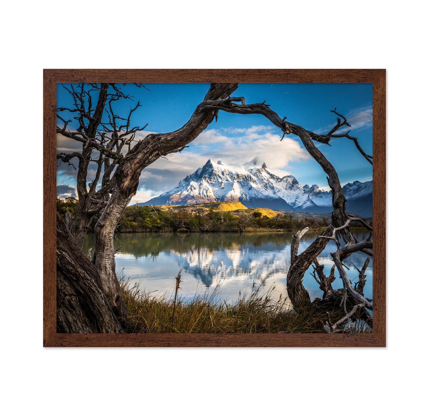 Patagonia
