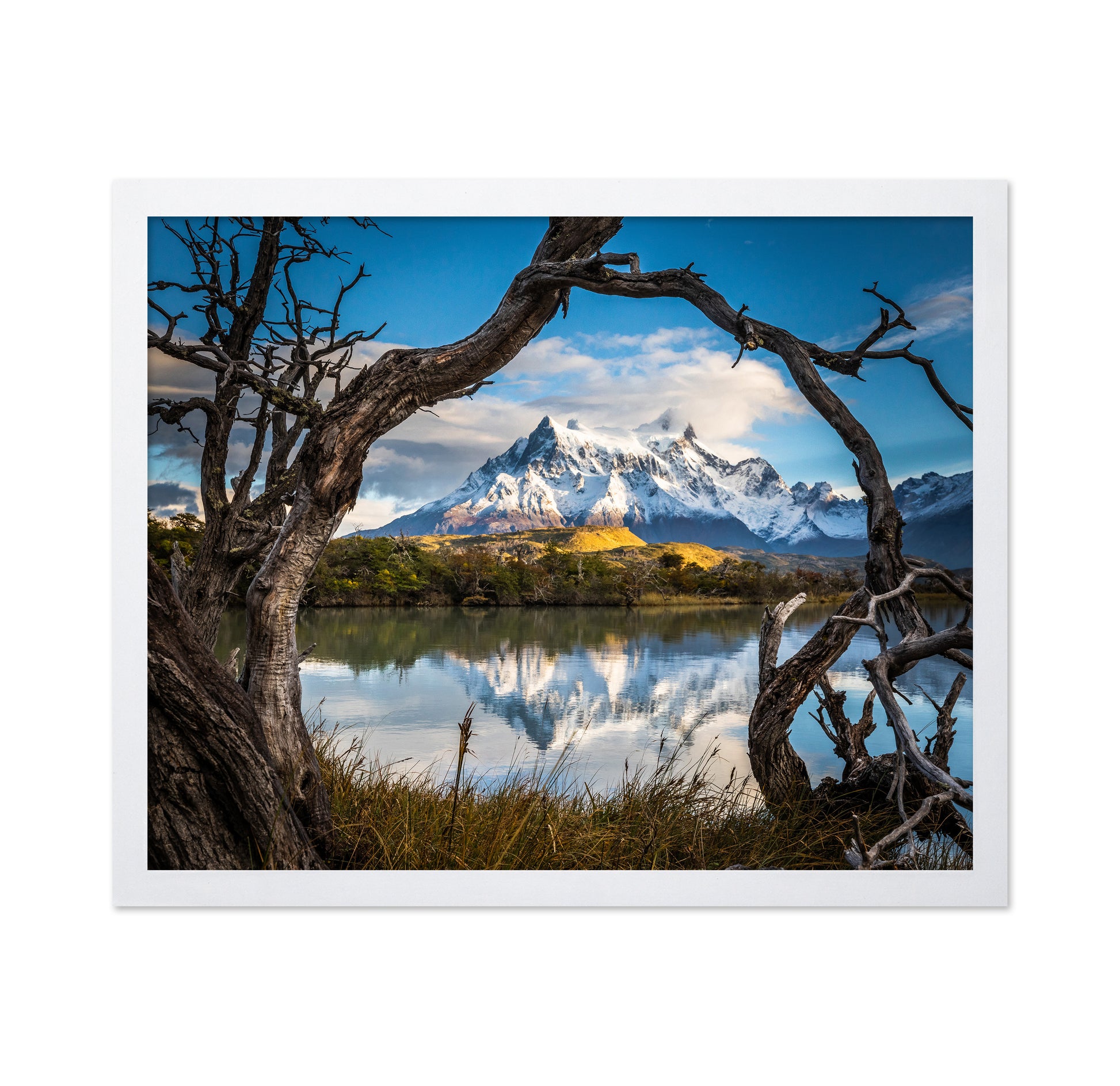 Patagonia