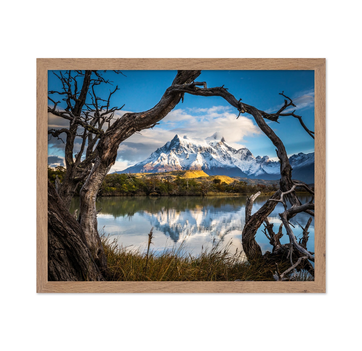 Patagonia