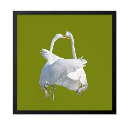 A Lock-in Handbag