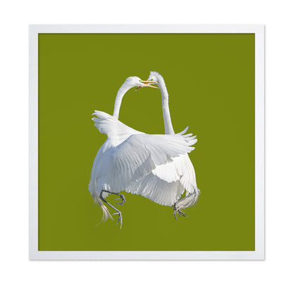A Lock-in Handbag