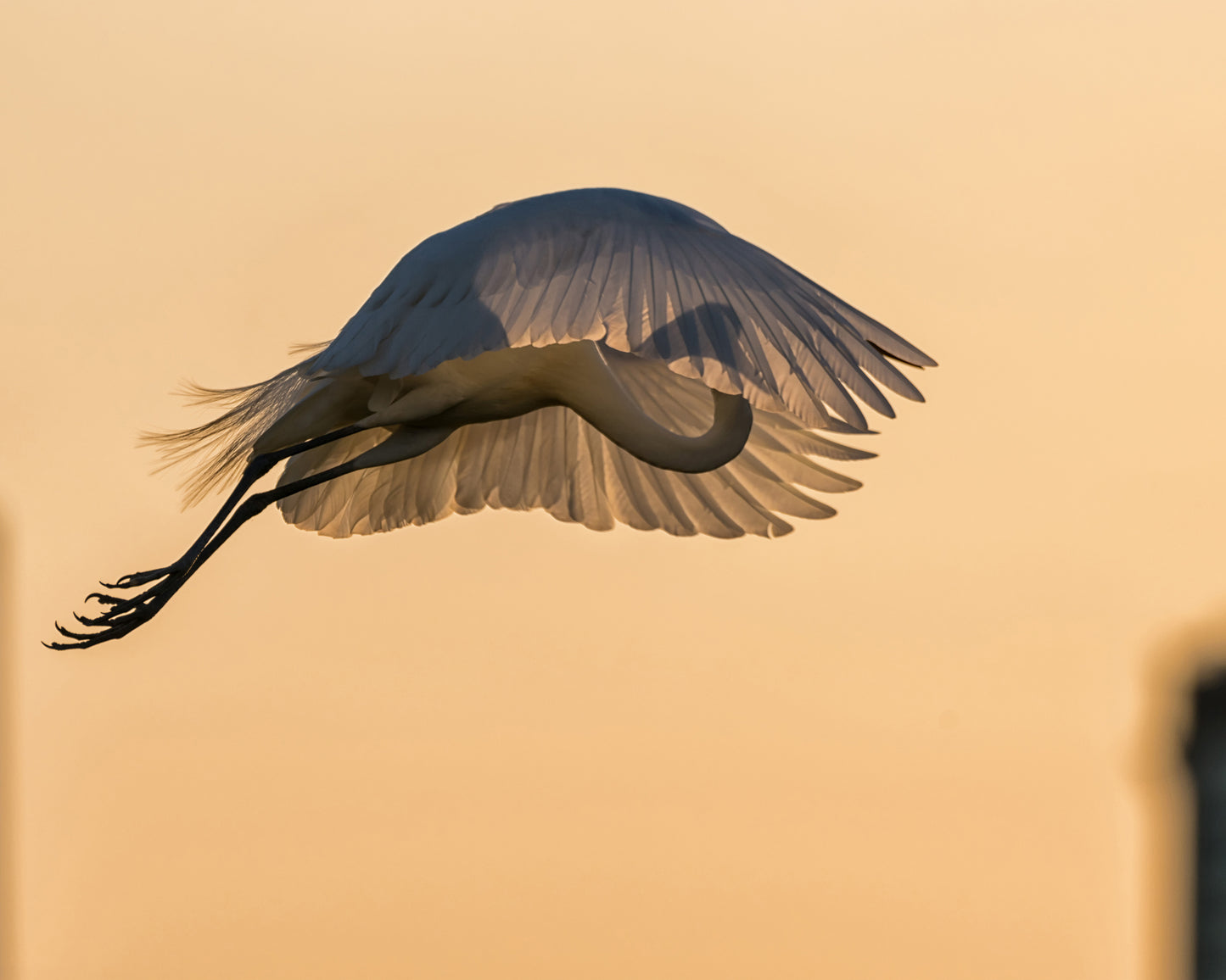 Jumping with a Golden Parachute