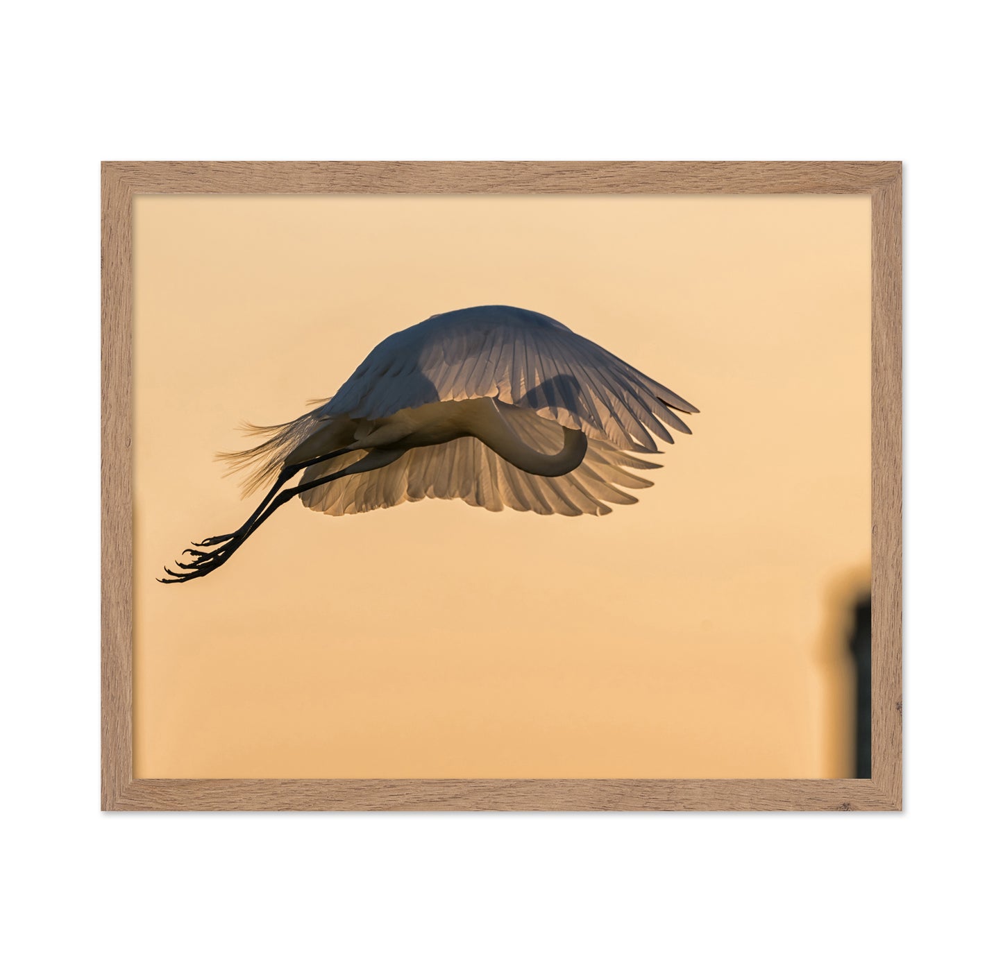 Jumping with a Golden Parachute