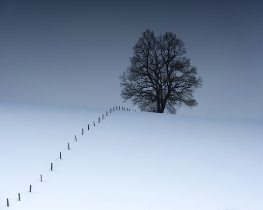 Winterblues