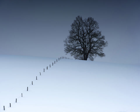 Winterblues