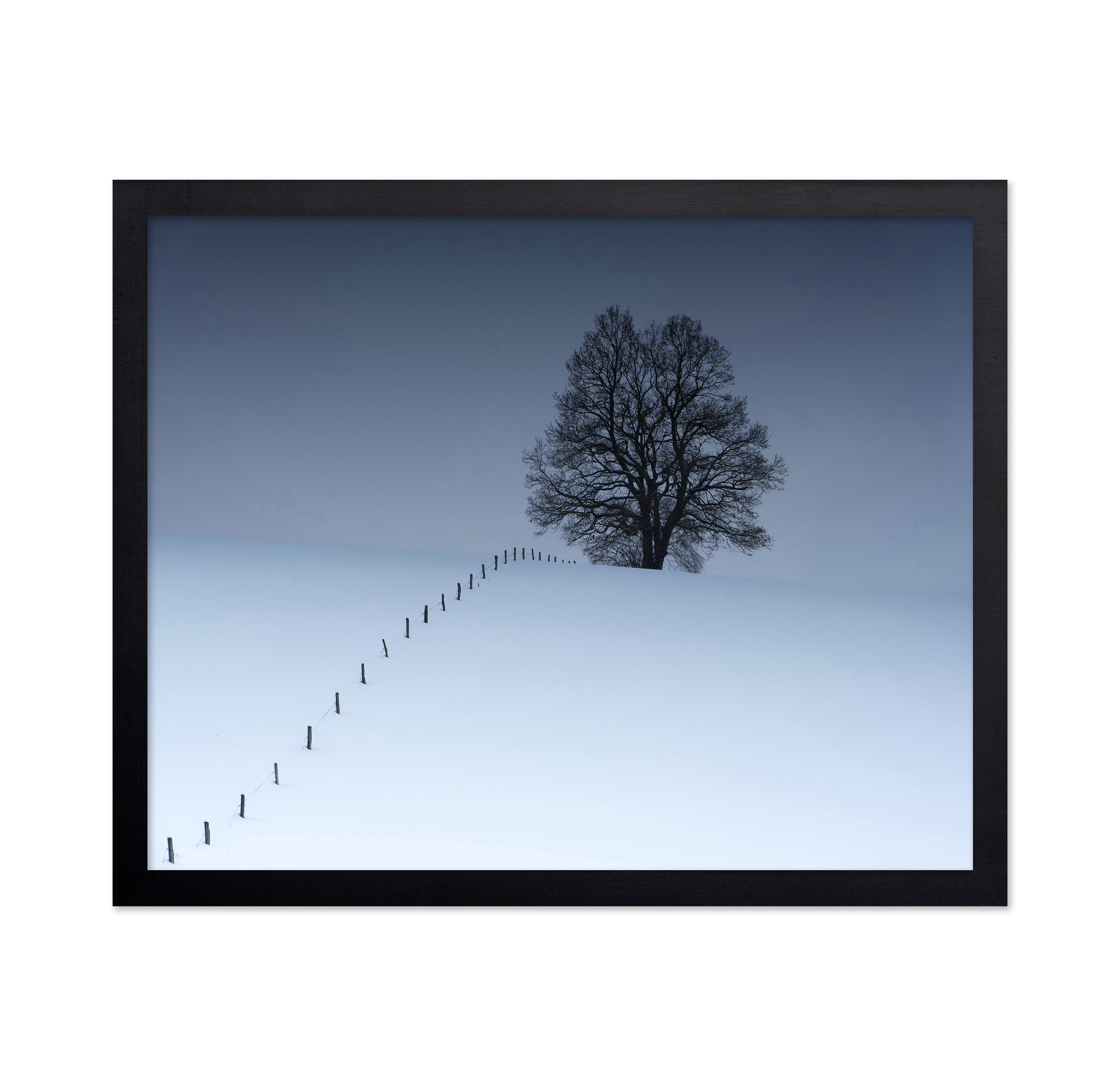 Winterblues