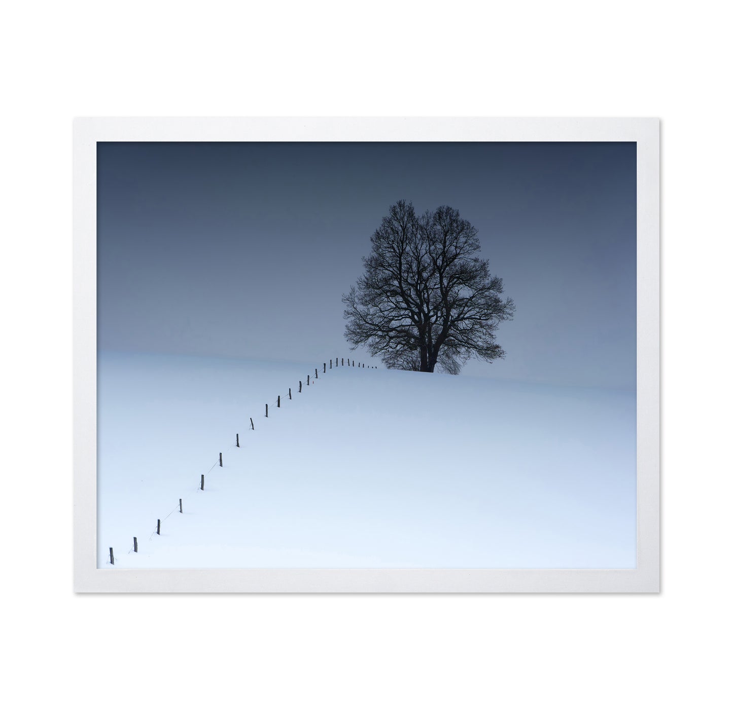 Winterblues