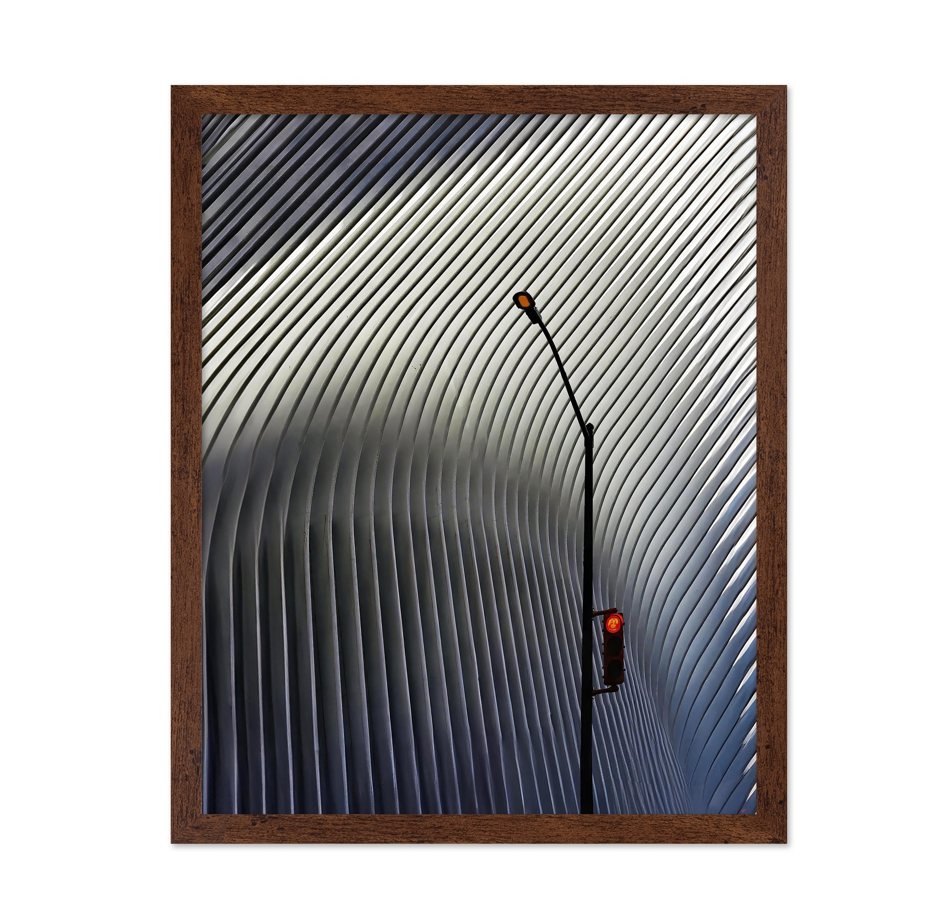 The Oculus