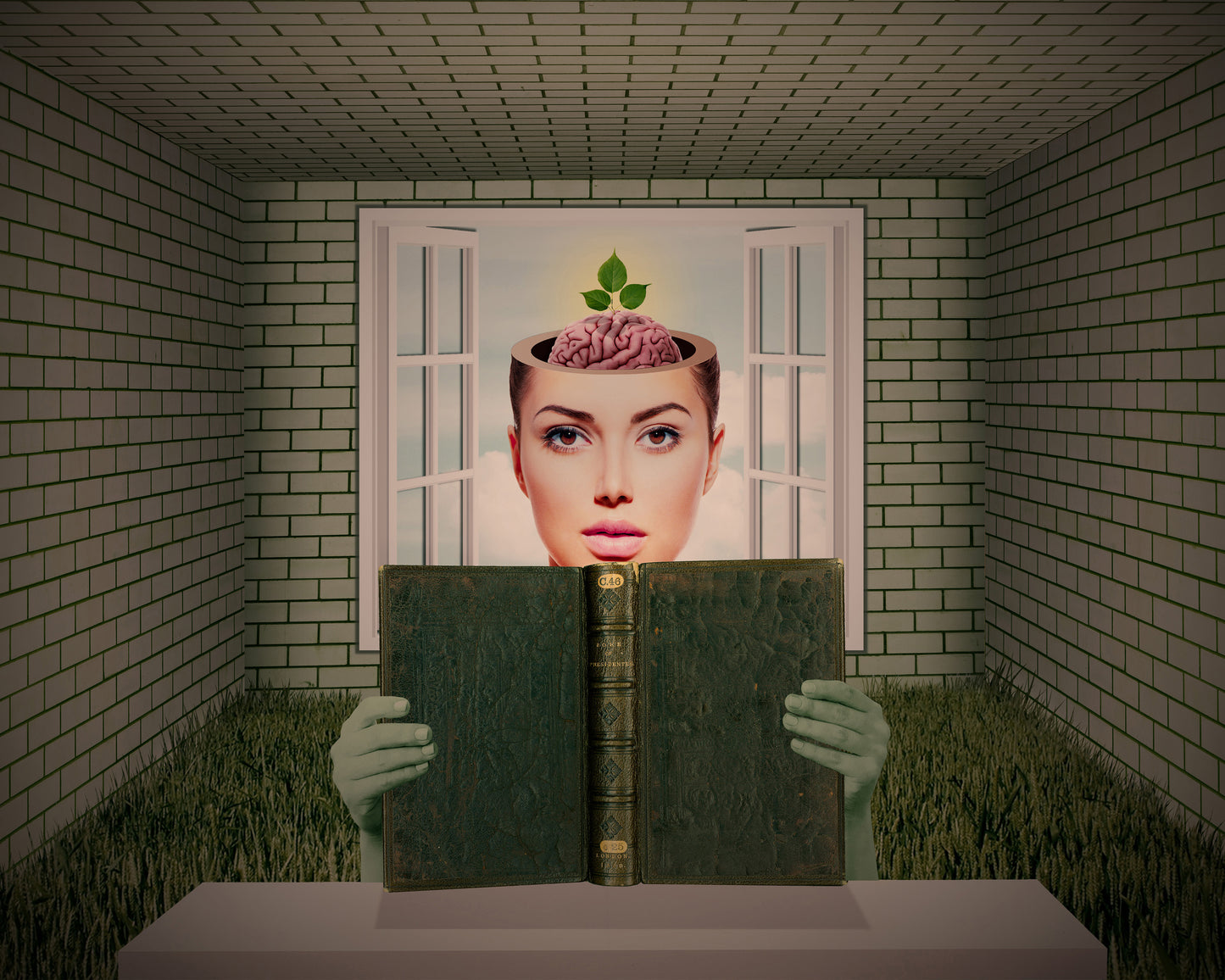 Growing Mind