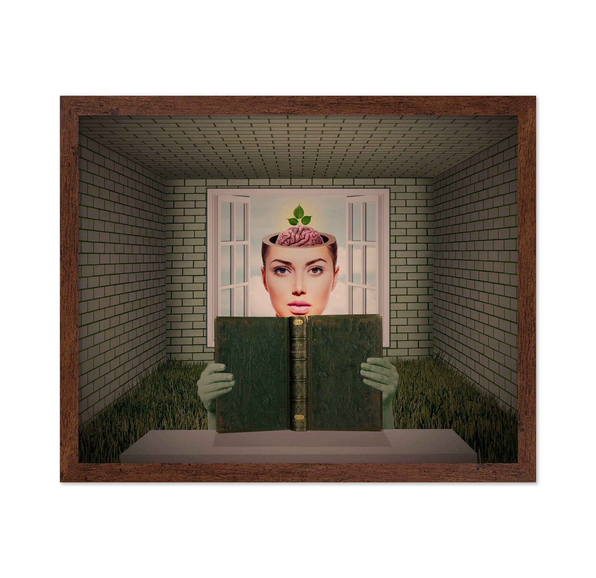 Growing Mind