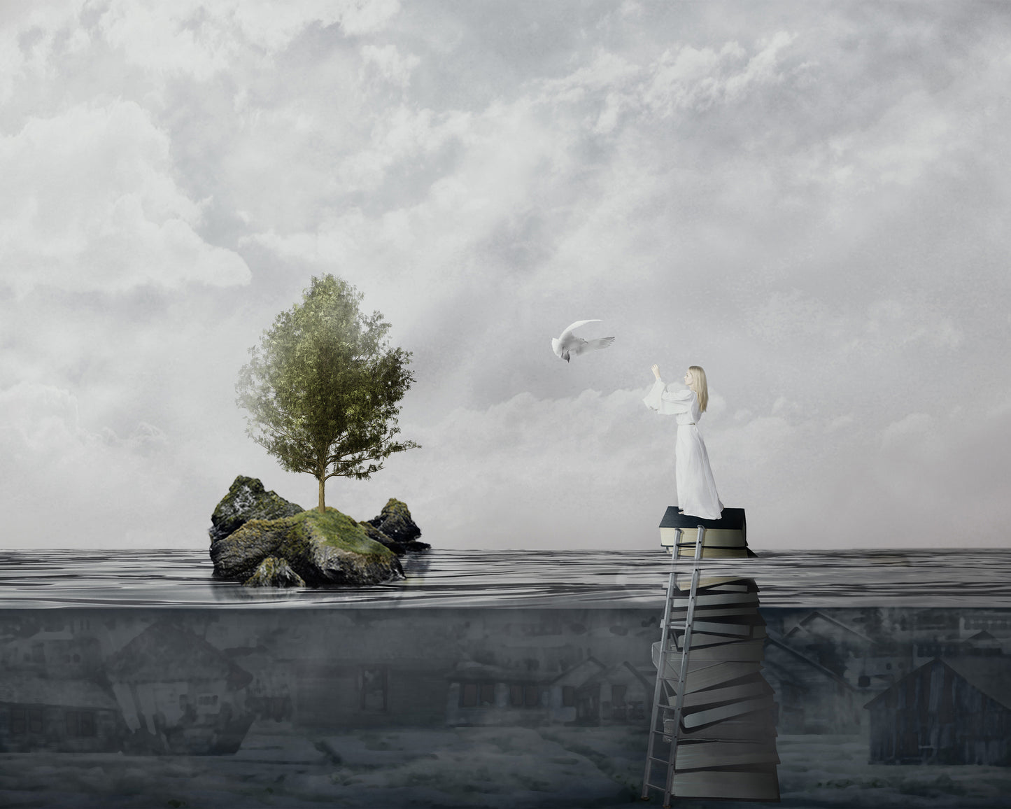 The Rescue