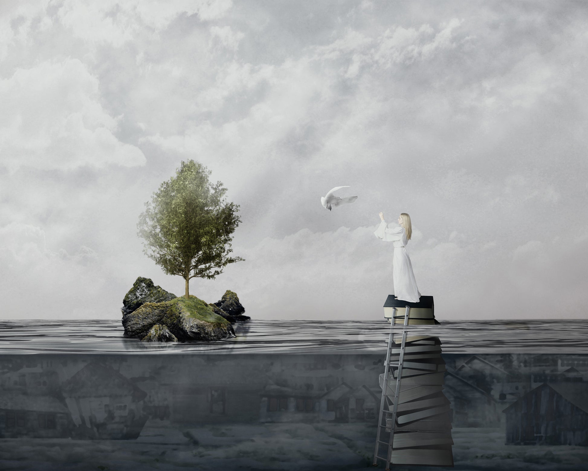 The Rescue