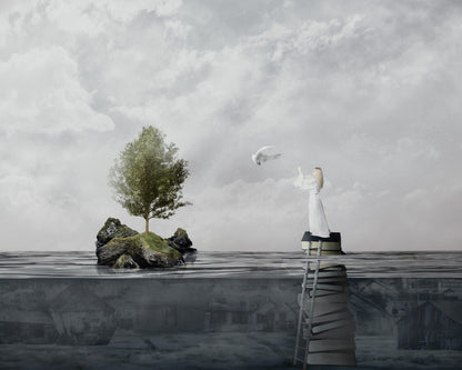 The Rescue