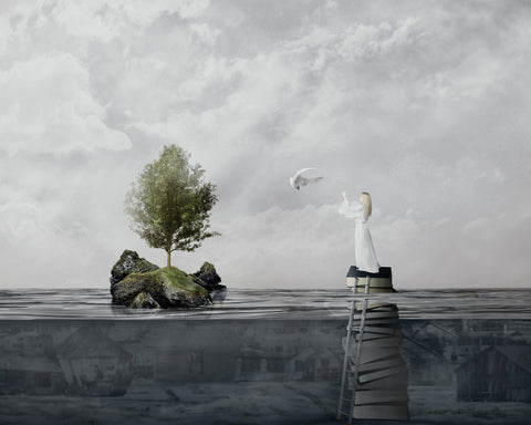 The Rescue