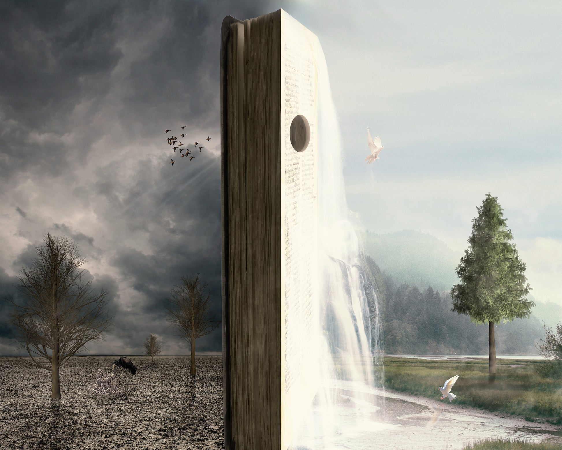 World Book