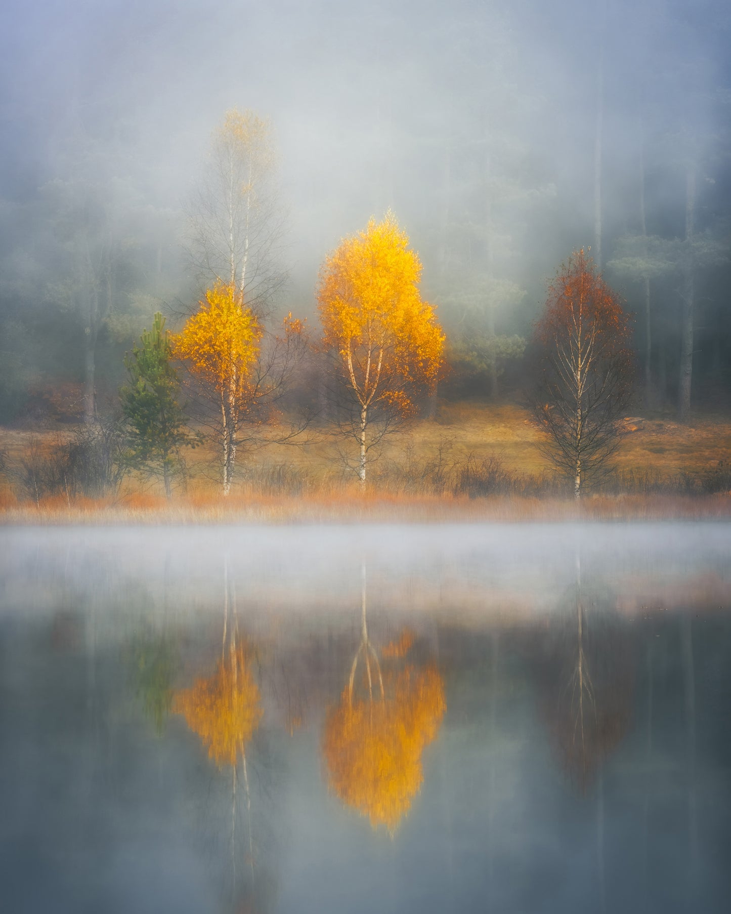 Frame of Autumn