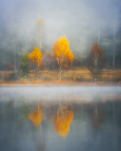 Frame of Autumn