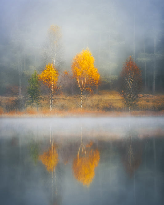 Frame of Autumn