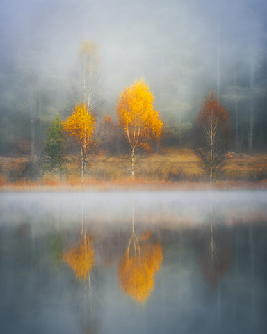 Frame of Autumn