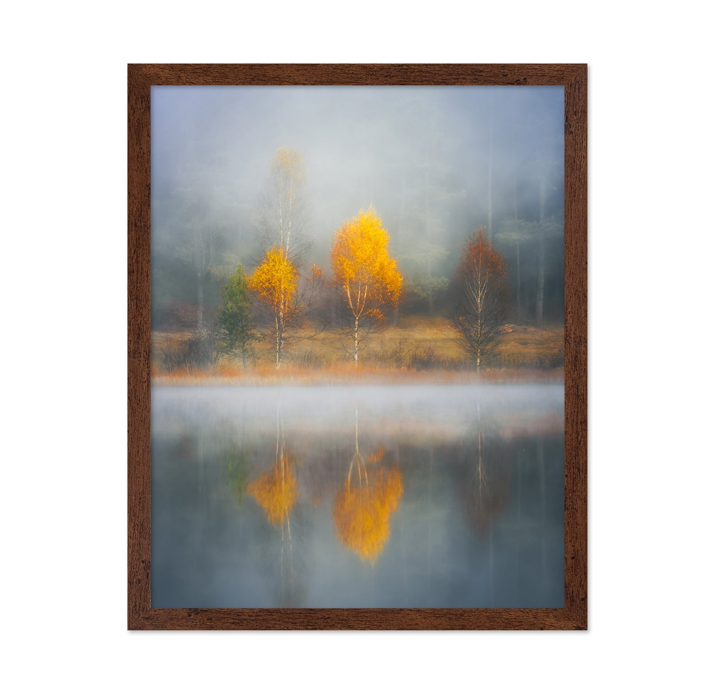Frame of Autumn