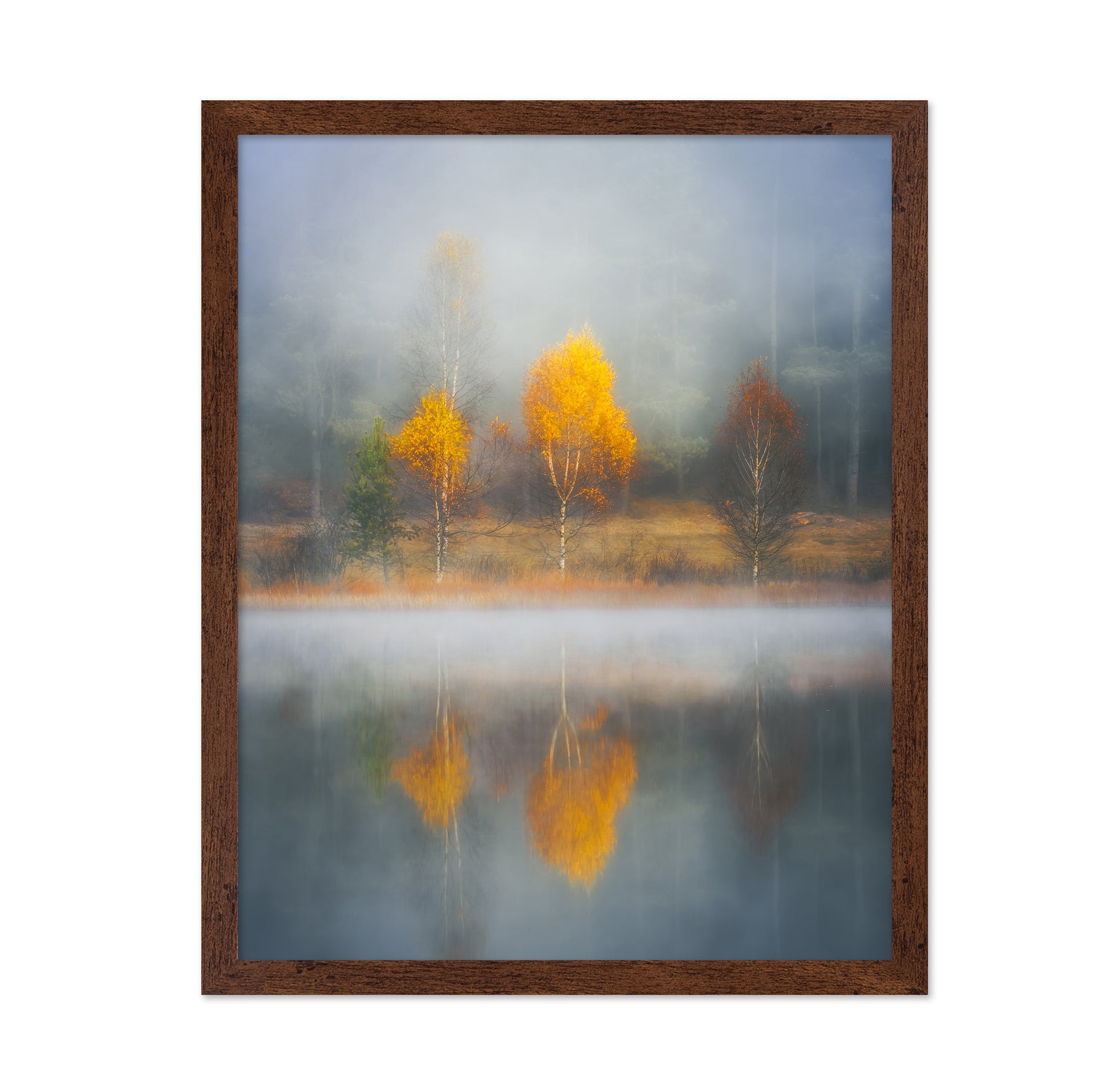 Frame of Autumn