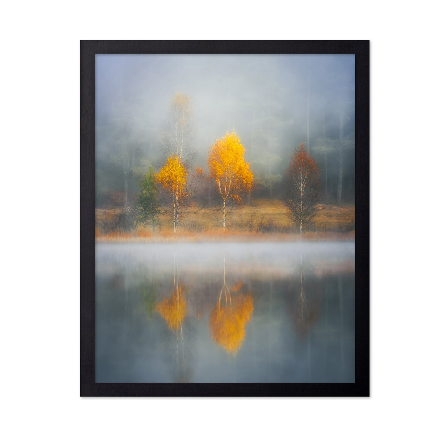 Frame of Autumn
