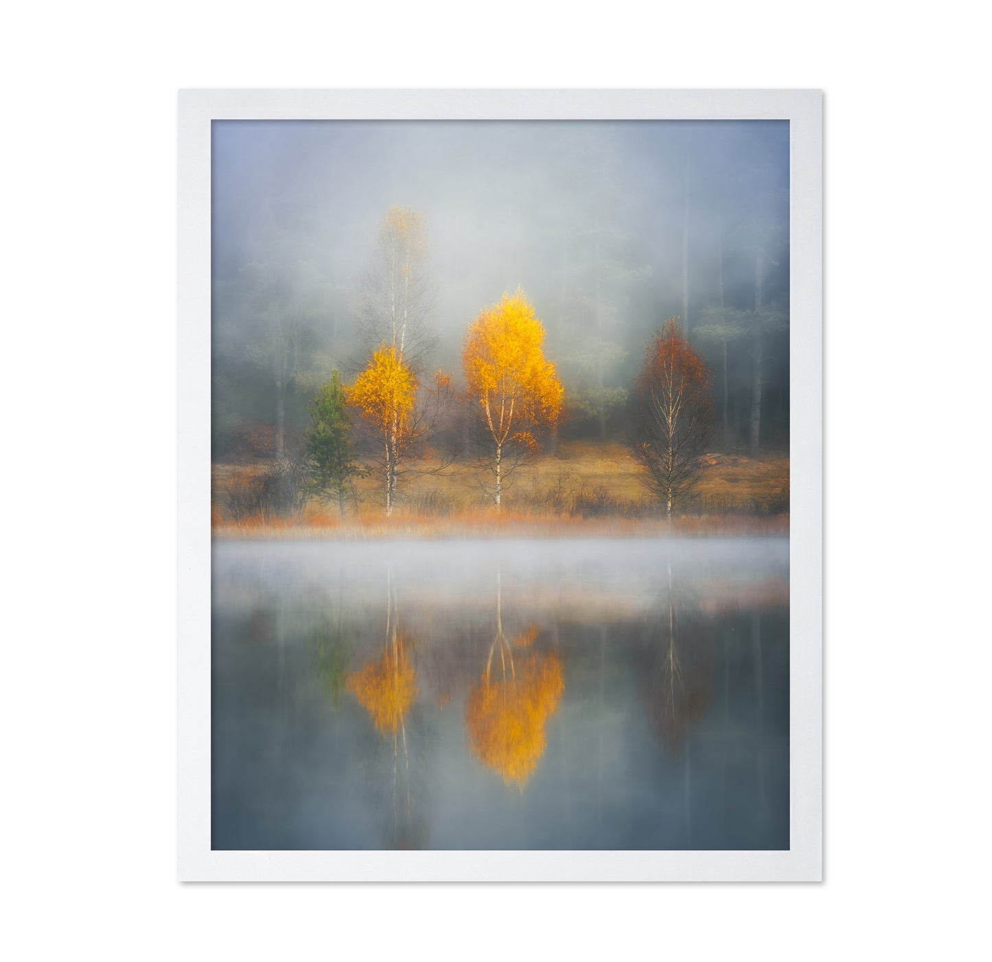 Frame of Autumn
