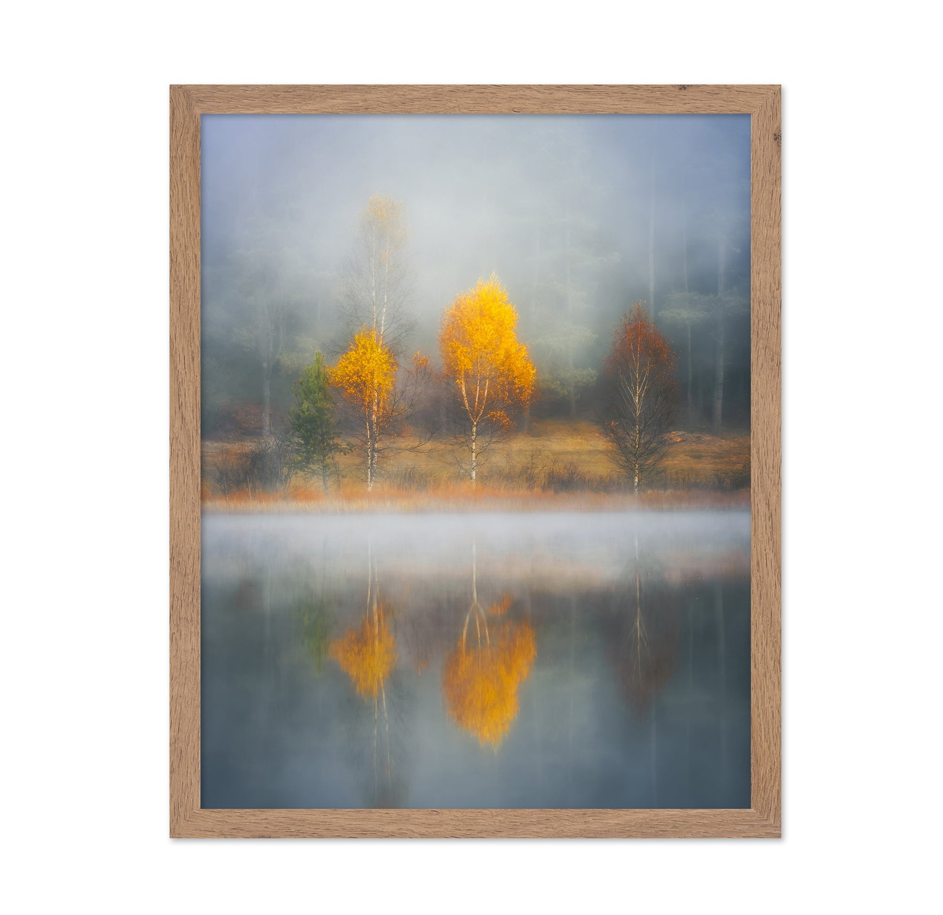 Frame of Autumn